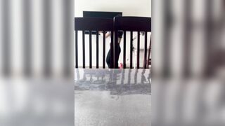 Xin lỗi vk ck ko có lỗi