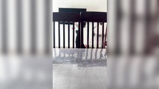 Xin lỗi vk ck ko có lỗi
