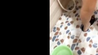 Quay con bạn tắm bị nó chửi quá trời xong bóp vú đjt e nó luôn