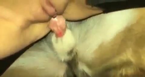Slow motion chơi với cún