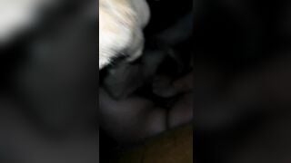 Giao lưu với chó anh hàng xóm phần 1