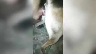 Anh trai đụ em chó cái bót cặc