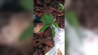 Anh trai hàng xom đưa em học sinh gần nhà lên đồi bắt em nó bú cặc địt vào lồn ngon