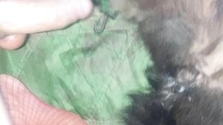 Xuất tinh vào lol cún cưng