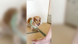 Em gái dâm cạo lông lồn
