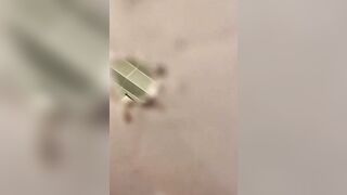 Quáy lén máy em gái xinh đi đái trong diêu thì mông to lồn ngon