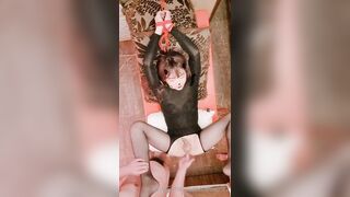 Layboy.  Mira table - Korean, Tranny, Shemale Porn