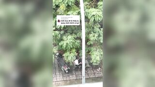 Thanh niên bóp vú bé gái ngay ngoài đường p2