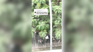 Thanh niên bóp vú bé gái ngay ngoài đường p2