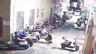gặp kẻ liều và cái kết