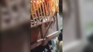 Địt nhau ở giữa đường bị người dân đuổi không đi