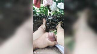 Yếu