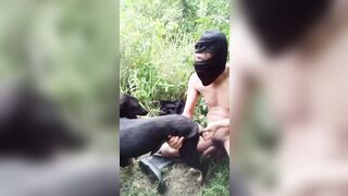 Trái thái đụ chó