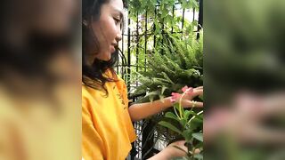Mina-Mi 6