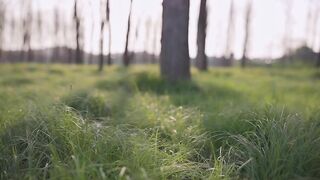 Em chưa mười sáu (part1)