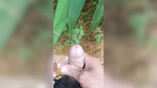 Niềm vui trên núi rừng (dành cho chị em)