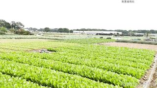 E gái xinh đẹp có sơ thích show lồn public cởi đồ đi dạo quanh làng P2