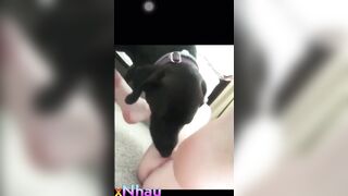Cô chủ nhỏ đáng yêu và bé cún