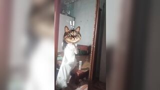 Em mới học về đã nứng