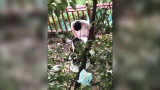 Quay lén người lạ địt nhau ngoài công viên