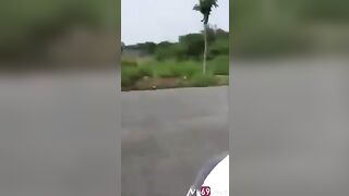 Bóp Vú người lạ, Gạ Bú Cu public djt Nhau giữa Đường Vắng bị phát hiện