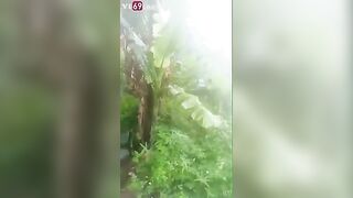 Chị hàn xóm dâm đãng