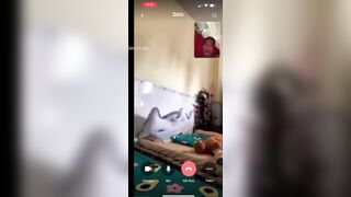 Clip Sex Ball Và Mẹ Trân Tiktoker Lộ Chat Sex Và Clip Địt Nhau 2
