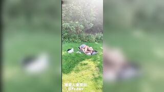 em gái đeo kính dáng xinh làm tình ngoài trời
