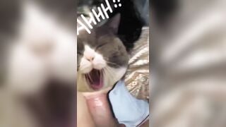 Dí con cặc khủng vào mồm em học sinh cấp3 bắt bú