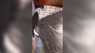 Địt rau sinh viên xinh gái cái lồn tê tái