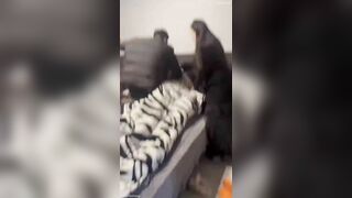 Đang chịch với e dâu thì vợ bất ngờ xông vào phòng bắt ghen p1