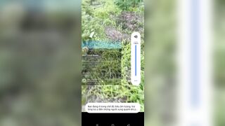 Nhờ người lạ chụp hình em