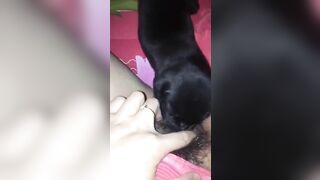 Nứng lồn quá nên cho em cún cưng bé lồn giải tỏa