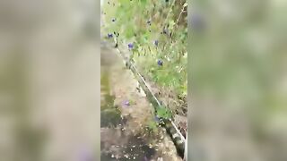 chị dâu gọi ra sau vườn ai ngờ được chị bú cạn tinh