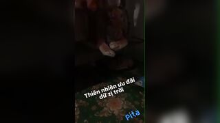 chăm rau được bé sinh viên nghèo lên sài gòn nhập học