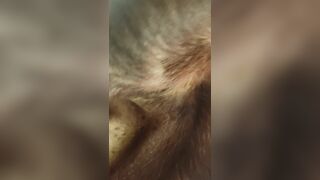 Lâu lắm mới làm lại