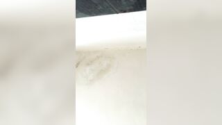 Ql toilet 2
