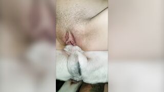 Chó địt siêu sướng mỗi tội không dính lẹo được !