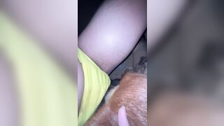Thú cưng 19