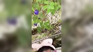 bắt con em họ ra Vườn Bú Cu, Vào some djt ko Bao xuất tinh đầy lồn
