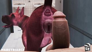 Đi WC gặp ngay giống Great Dane mùa động dục