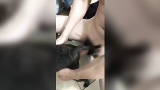 Chai vịt chịt chó 3