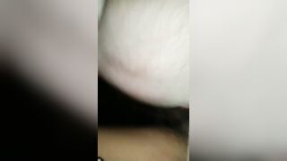 Chịt em heo trong đêm