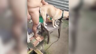 Xít em lại và chịt