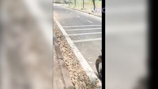 Cặp vợ chồng phượt thủ public bú lồn chịch vợ xuất trong cực ngon (Full Clip + Pic)