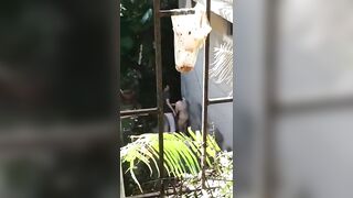 Nứng cặc đưa em ra dồng puclic đêm khuya