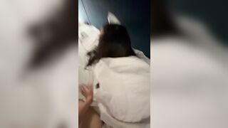 sau giờ học em mặc nguyên đồng phục vào nhà nghỉ để anh thụ tinh học sinh dâm dục p2