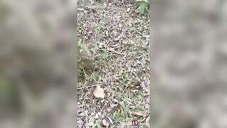 Mang theo áo mưa vào trong rừng hoà mình với thiên nhiên cùng bé gái trong rừng