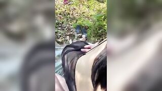 Mang theo áo mưa vào trong rừng hoà mình với thiên nhiên cùng bé gái trong rừng