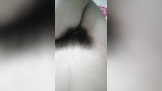 Bướm non hóa đại bàng
